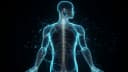 A Potential Breakthrough in Spinal Cord and Optic Nerve Injury Treatment