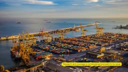 Finding Stability Amid Trump’s Trade War