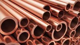 A Strong Team Pursuing a Major Copper-Polymetallic Discovery