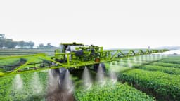 PEA Confirms Viabilty of a Low-Cost Potash Mine in Africa