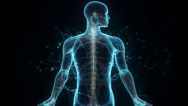 Thumbnail for A Potential Breakthrough in Spinal Cord and Optic Nerve Injury Treatment