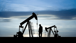 Solid Q3 Revenue Growth; Share Price Lagging Without Justification