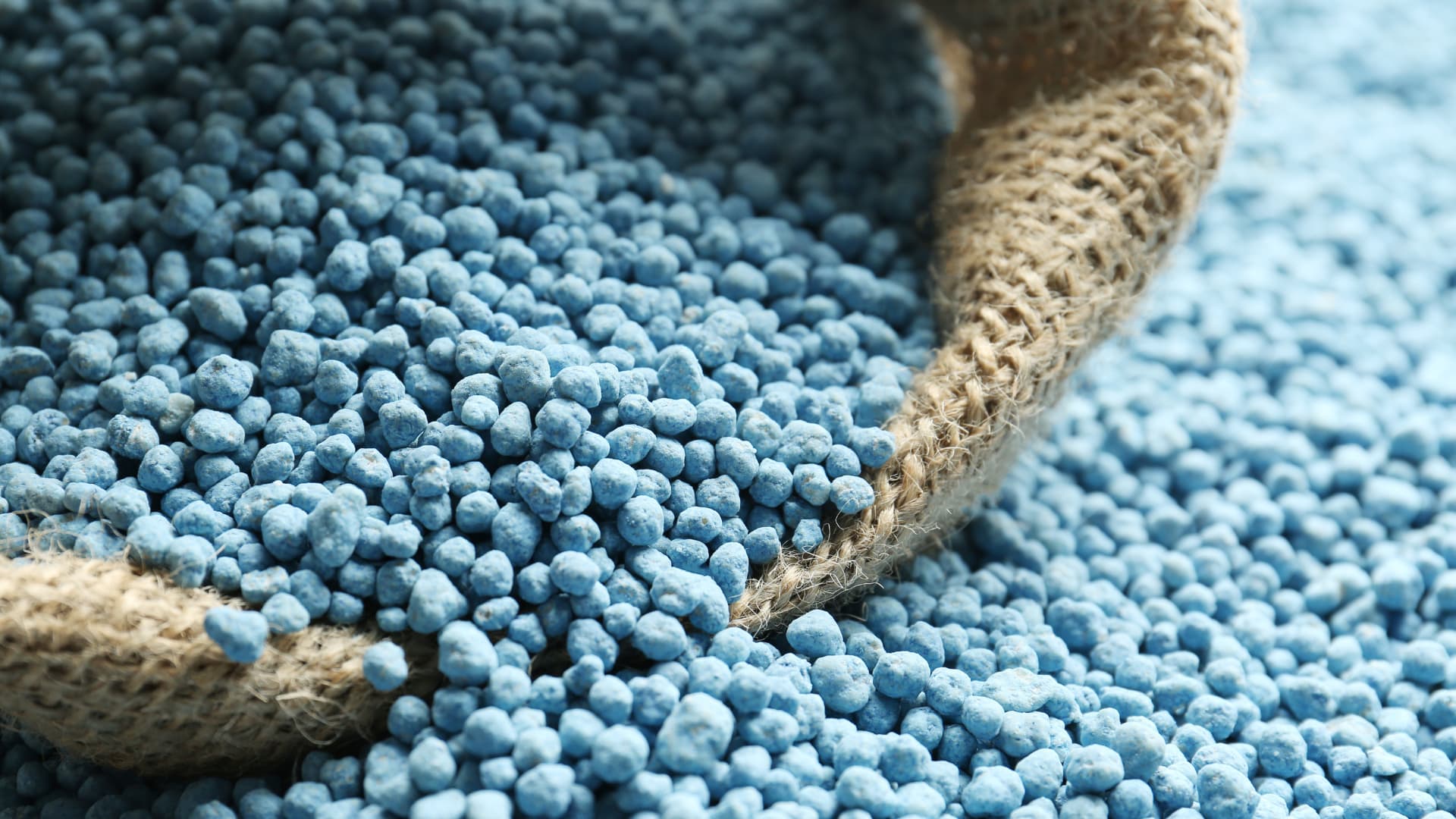 Anticipating a Recovery in H2-2024