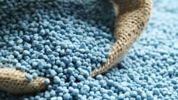 Anticipating a Recovery in H2-2024