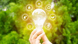 Transforming into an Energy Storage Independent Power Producer