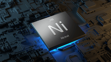 Thumbnail for A Brand New Nickel Junior Advancing a High-Grade/Shallow Resource