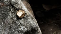 Drilling Expands Resources by at Least 30%